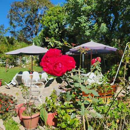 Kitnet No Sul De Minas Villa Soledade de Minas Екстериор снимка